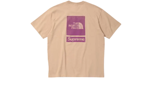 Alternative view of Supreme The North Face T-Shirt The North Face Beige (SS24)