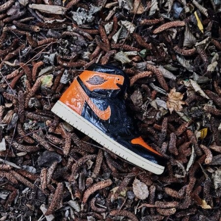 Air Jordan 1 Retro High Shattered Backboard 3.0 - Image 5
