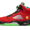 Air Jordan 5 Retro What The