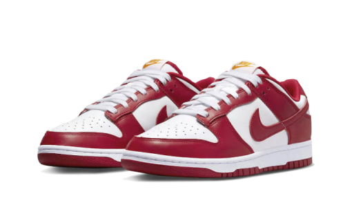 Alternative view of Nike Dunk Low USC