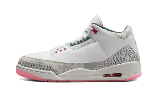 Air Jordan 3 Retro Wings
