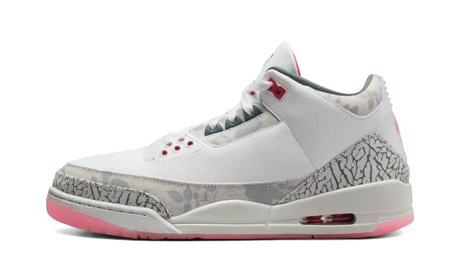 Air Jordan 3 Retro Wings
