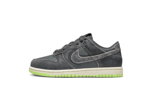 Nike Dunk Low Swoosh Shadow Iron Grey Enfant (PS)