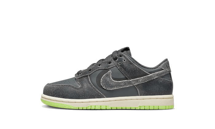 Nike Dunk Low Swoosh Shadow Iron Grey Enfant (PS)