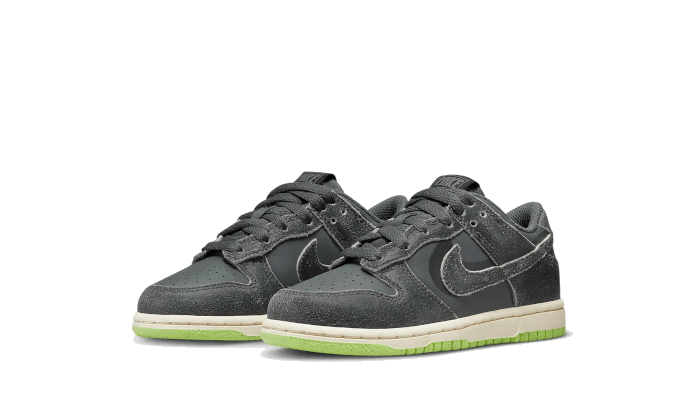 Nike Dunk Low Swoosh Shadow Iron Grey Enfant (PS) - Image 2