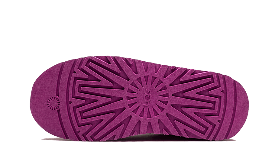 UGG Tazz Slipper Mangosteen - Image 3