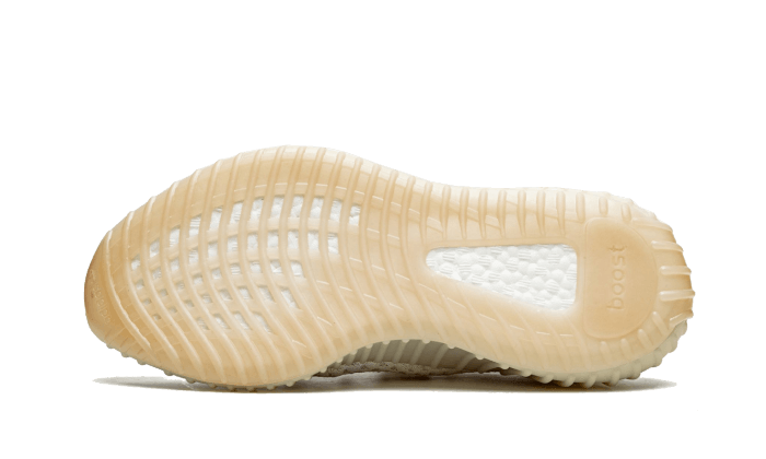 Adidas Yeezy Boost 350 V2 Light - Image 4