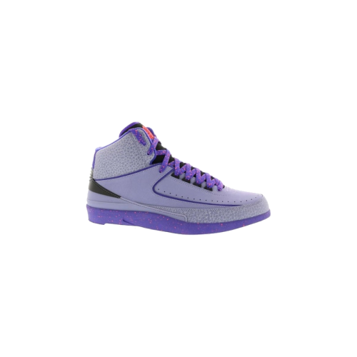 Air Jordan 2 Retro Iron Purple