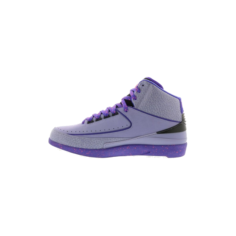 Air Jordan 2 Retro Iron Purple - Image 4