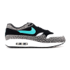 Nike Air Max 1 atmos x Jordan